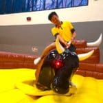 Rodeo Bull Rental