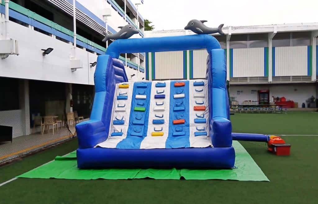 Dolphin Slide Castle