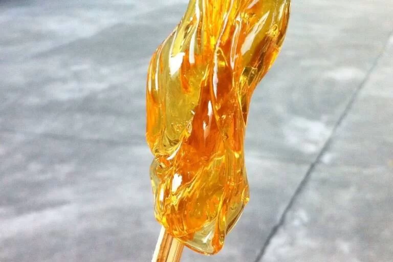Malt Candy Rental Singapore