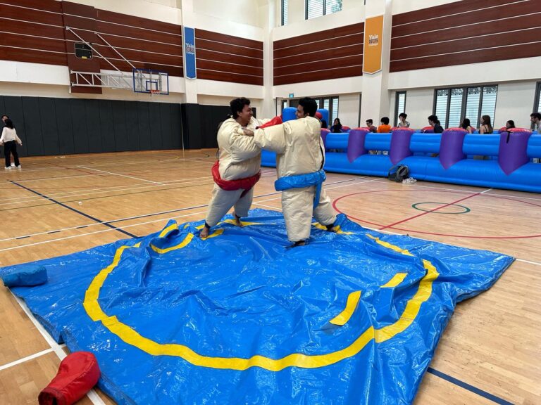 Sumo Game for Rental Singapore