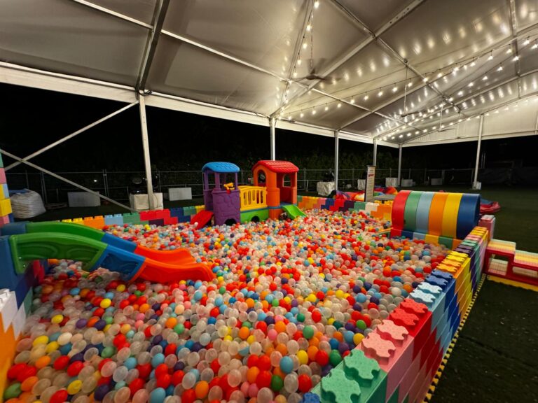 Customised Lego Ball Pit Rental Singapore