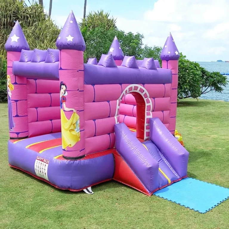 Fairytale-Themed-Bouncy-Castle-Rental-for-Parties