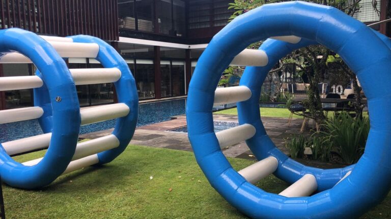Hamster Wheel Inflatable