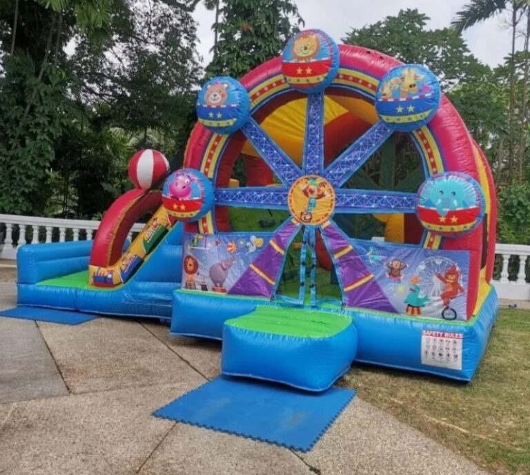 Happy Ferris Bouncy Castle for Birthday Party